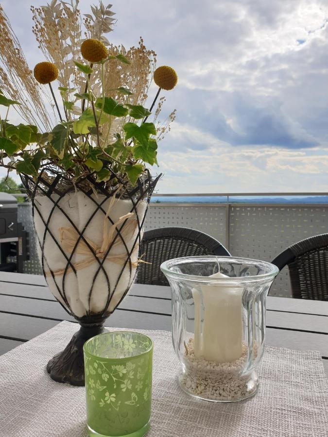 Nikolaier Weinblick - Chalet Sauvignon Blanc Sankt Nikolai ob Draßling Extérieur photo