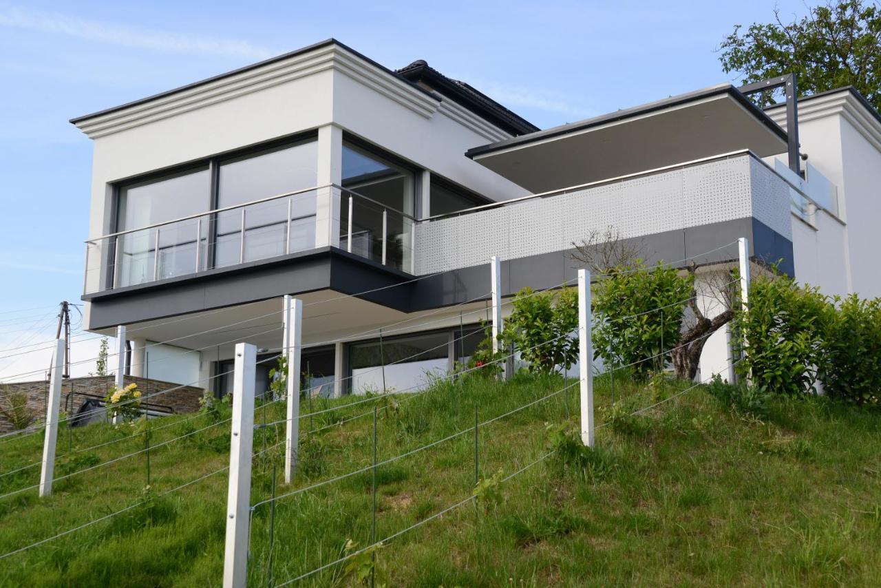 Nikolaier Weinblick - Chalet Sauvignon Blanc Sankt Nikolai ob Draßling Extérieur photo